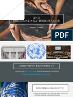 Comunicare Digitală ONU