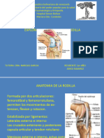 Exploración de Rodilla