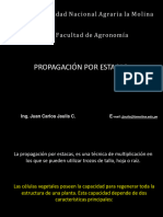 Propagación 2021-I P. Estacas