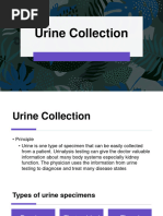 Urine Specimen Collection Guide | PDF