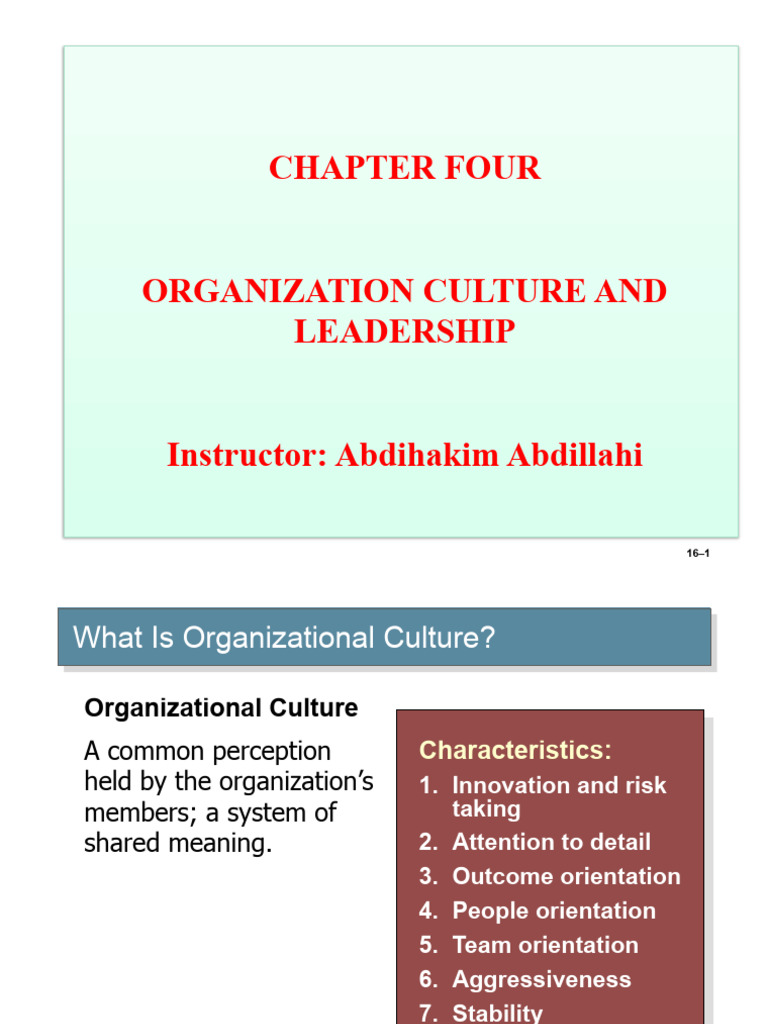 Understanding Organizational Culture | PDF | Socialization ...