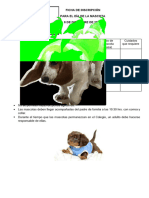 Ficha de Inscripción para El Día de La Mascota 2017 Con Foto 2