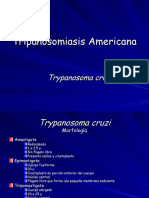 Tripanosomiasis Americana