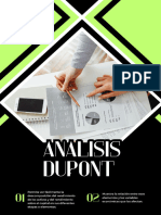 Analisis Dupont - Informe