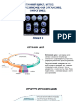 18 11 2023 Мітоз Мейоз