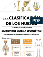 2.1.1.clasificación de Los Huesos