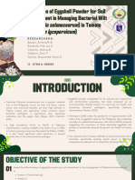 5 Green-Modern-Thesis-Defense-Presentation