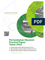 BPS Papua 2022