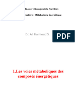 Métabolisme Énergétique