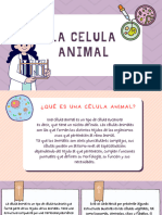 Célula Animal