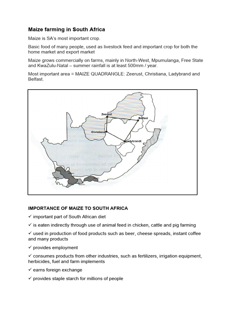 Importance of Maize Farming in SA | PDF | Agriculture | Maize
