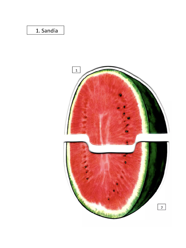 Rompecabezas Wppsi IV PDF