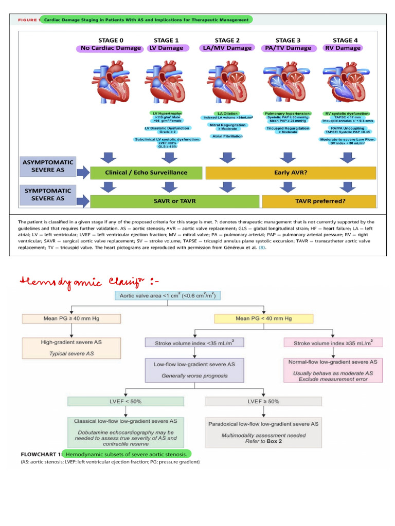 Classification of AORTIC STENOSIS | PDF