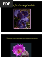 A Opcao Da Simplicidade