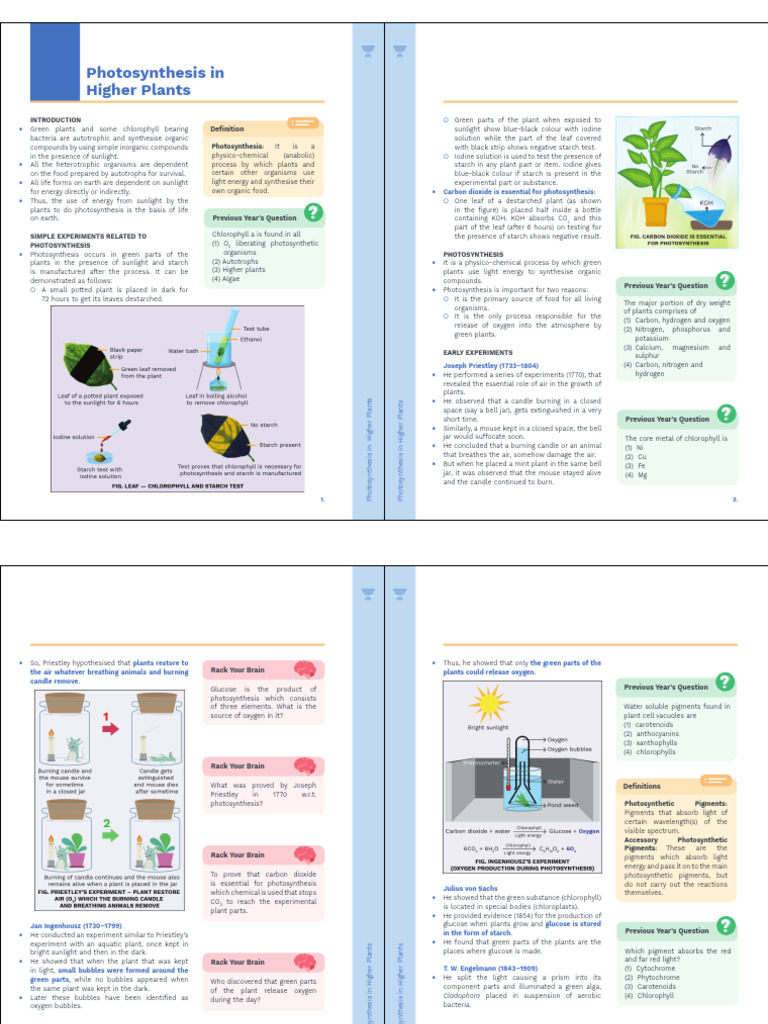 Photosynthesis in Higher Plants | PDF | Photosynthesis | Chlorophyll