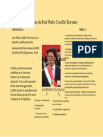 Gobierno de José Pedro Castillo Terrones - Ccss