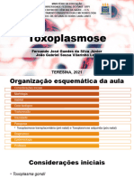 Seminario Toxoplasmose