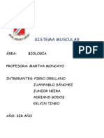 Sistema Muscular