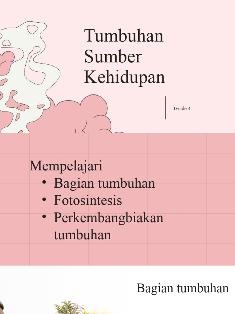 Bab 1 Mengenal Bagian Tumbuhan | PDF