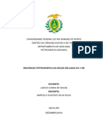 Relatório Petrografia (SO-113B) - Marcelo Gustavo Silva Silva