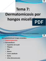 Tema 07 - Dermatomicosis Por Hongos Miceliales 3.0