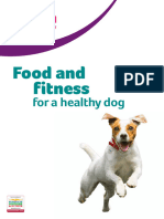 Pdsa Food and Fitness For A Healthy Dog