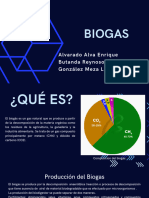 Biogas