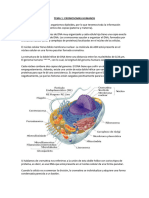 Genética 3º Biomed