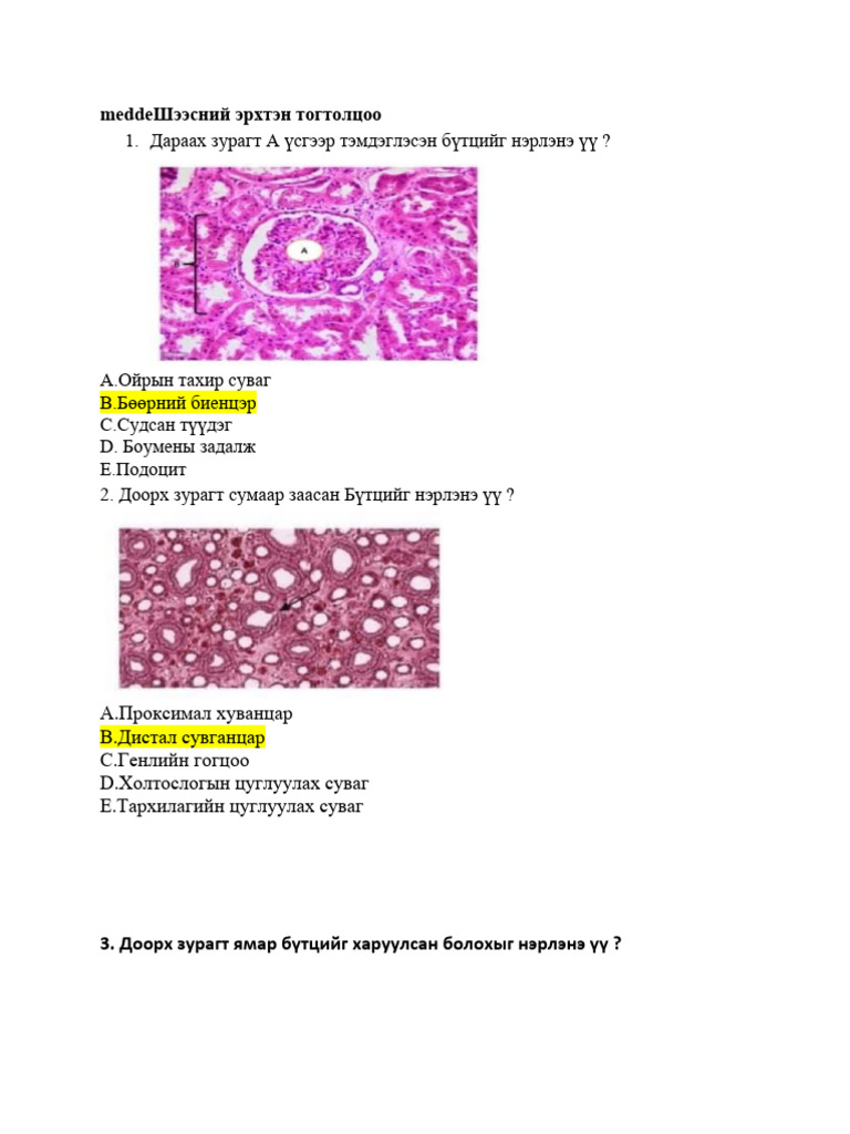 гистологи бичил бэлдмэл | PDF