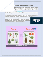 Characteristics of Flora and Fauna