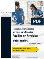 Auxvet Oct 2023