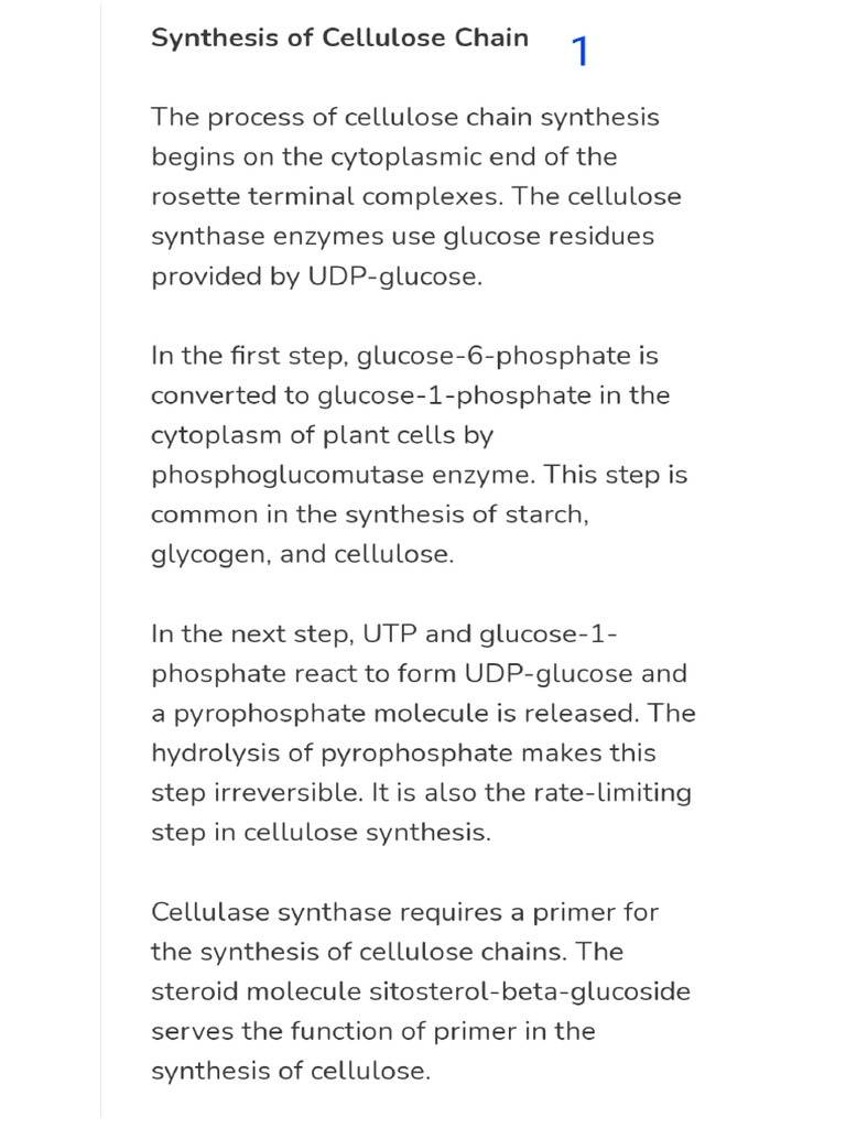 Cellulose Biosynthesis Notes | PDF