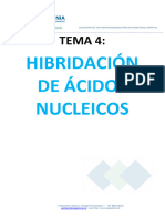 Tema 4 HIBRIDACIÃ N Ã CIDOS NUCLEICOS