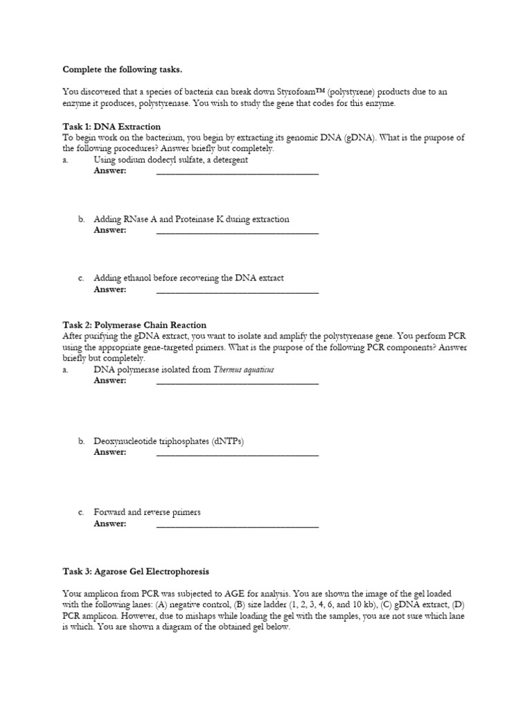 #3 Mol Bio Gene of Interest QUESTIONS | PDF | Teaching Methods ...