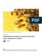 Hierarquia de Cargos Na Área Comercial - Conheça 12 Deles! - Blog Do Agendor