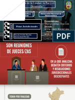 Plenos Jurisdiccionales