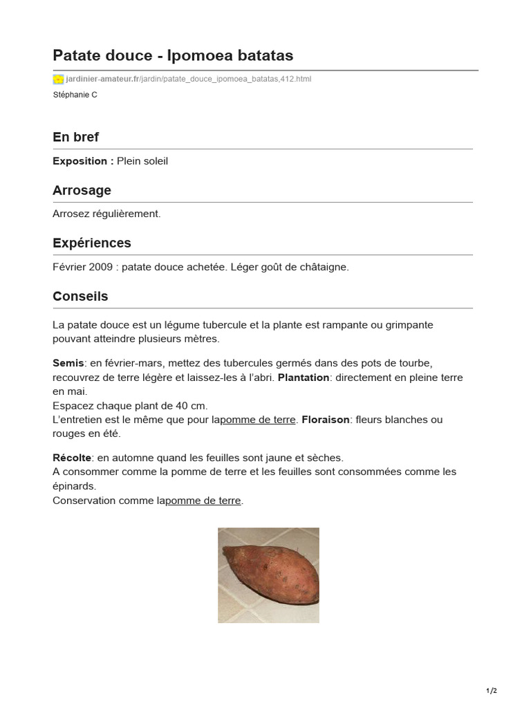 Cultiver la Patate Douce Guide Pratique PDF Maison et jardin — free download