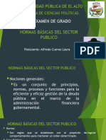 Normas Basicas Del Sector Publico