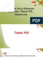 Teknik PCR, Sequencing