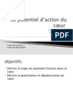 Le Potentiel D'action Du Coeur