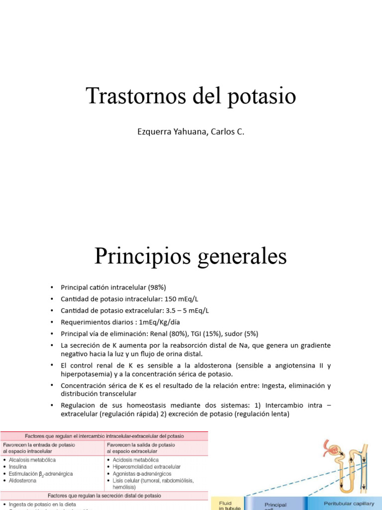 Gulación Del Potasio Pdf : Regulación y Funciones del Potasio en el ...