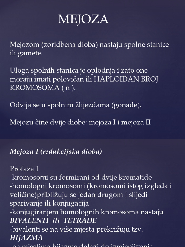 MEJOZA | PDF