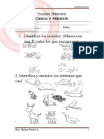 Examen de Ciencia y Ambiente23