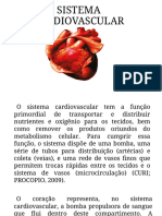 07 - Sistema Cardiovascular 07 - 054603