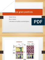 Cocos Gram Positivos 1era Parte