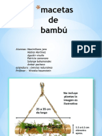 3macetas de Banbú Maximiliano Jara 8 Año 3