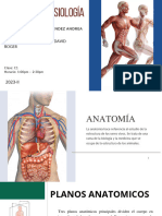 Anatomía y Fisiología