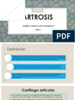 Artrosis