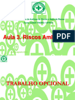 Aula 3 - Riscos Ambientais 2