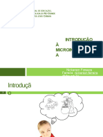 Aula 01 - Introducao A Microinformatica